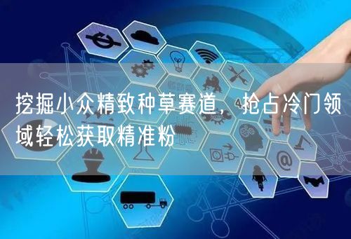 挖掘小众精致种草赛道，抢占冷门领域轻松获取精准粉