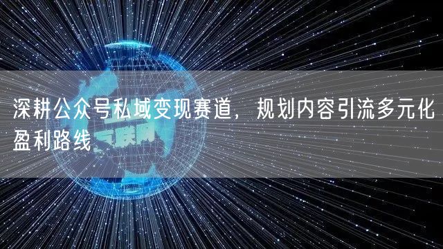 深耕公众号私域变现赛道，规划内容引流多元化盈利路线
