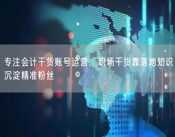 专注会计干货账号运营，职场干货靠落地知识沉淀精准粉丝