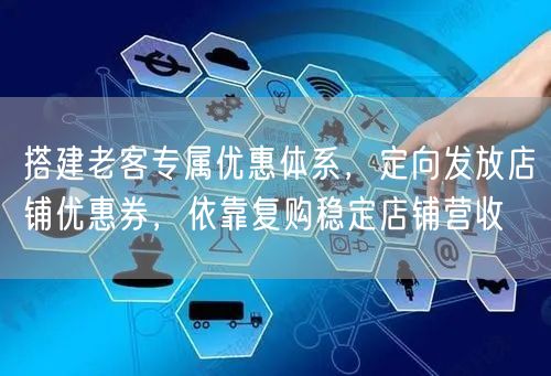 搭建老客专属优惠体系，定向发放店铺优惠券，依靠复购稳定店铺营收