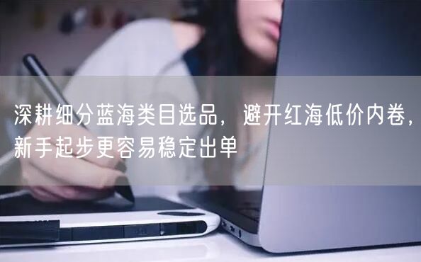 深耕细分蓝海类目选品，避开红海低价内卷，新手起步更容易稳定出单