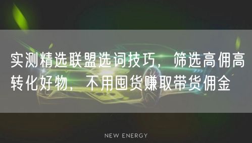 实测精选联盟选词技巧，筛选高佣高转化好物，不用囤货赚取带货佣金