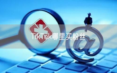 TikTok哪里买粉丝