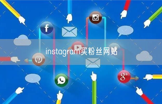 instagram买粉丝网站
