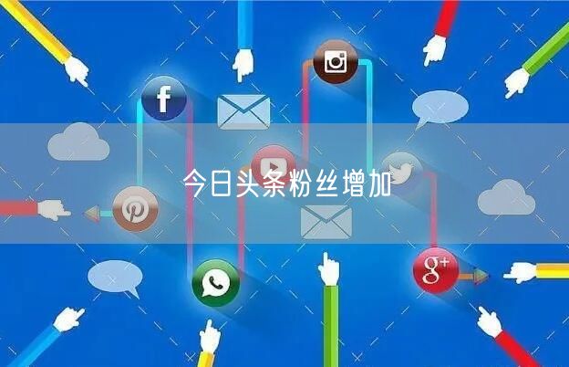 今日头条粉丝增加