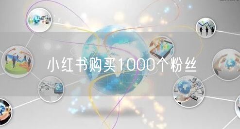 小红书购买1000个粉丝