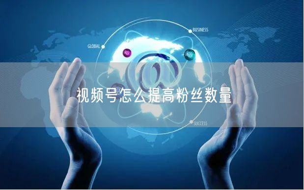 视频号怎么提高粉丝数量