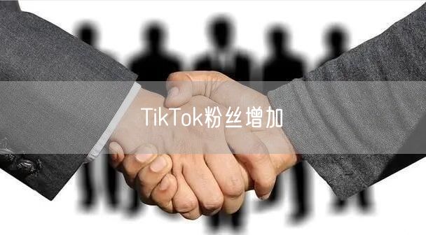 TikTok粉丝增加