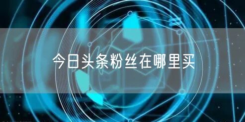 今日头条粉丝在哪里买