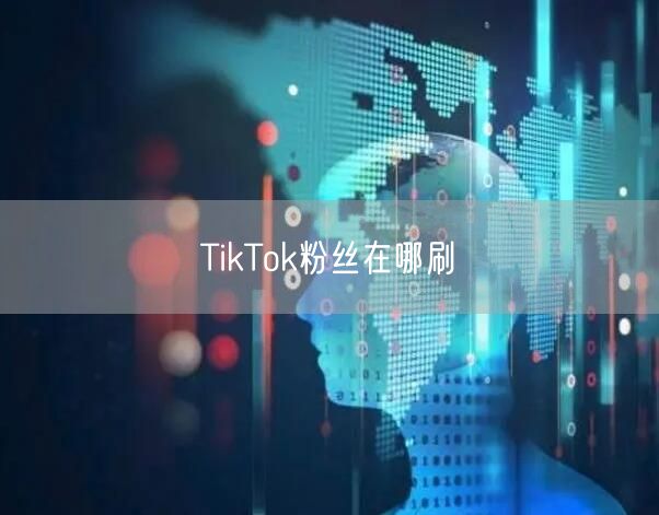 TikTok粉丝在哪刷