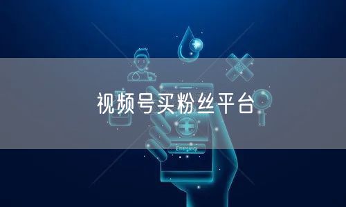 视频号买粉丝平台