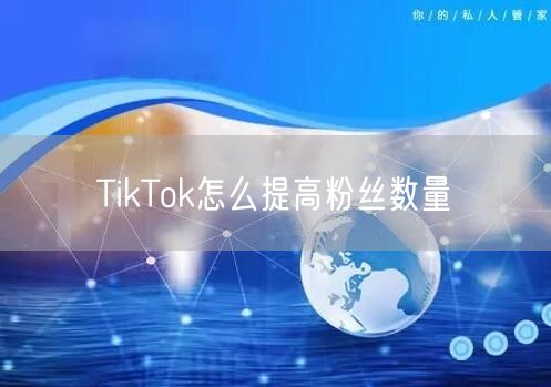 TikTok怎么提高粉丝数量