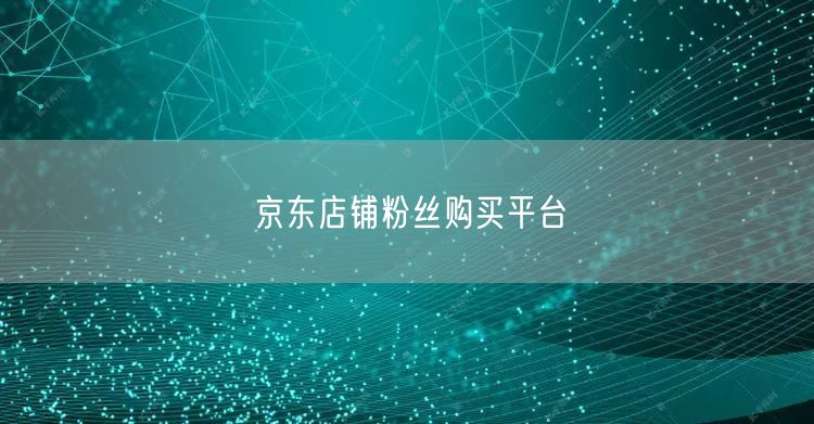 京东店铺粉丝购买平台