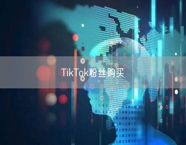 TikTok粉丝购买
