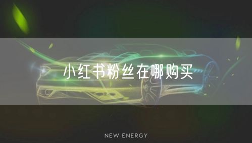 小红书粉丝在哪购买