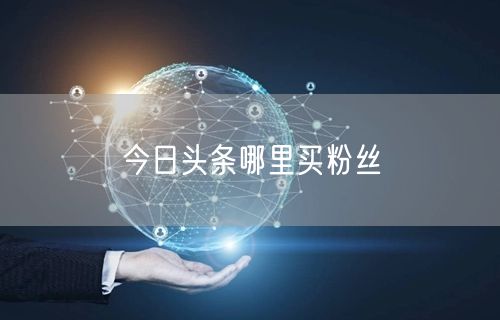 今日头条哪里买粉丝