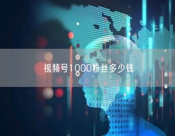 视频号1000粉丝多少钱
