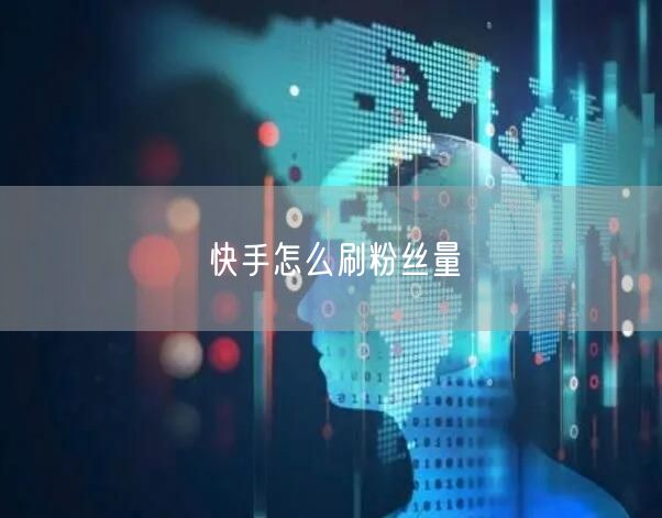 快手怎么刷粉丝量