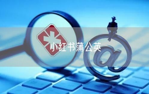 小红书蒲公英
