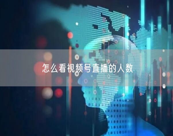 怎么看视频号直播的人数