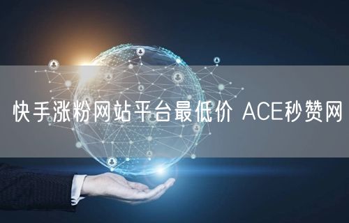 快手涨粉网站平台最低价 ACE秒赞网