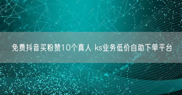 免费抖音买粉赞10个真人 ks业务低价自助下单平台