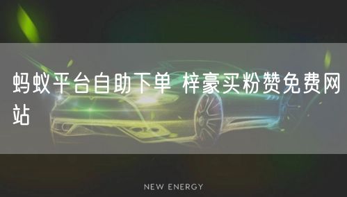 蚂蚁平台自助下单 梓豪买粉赞免费网站