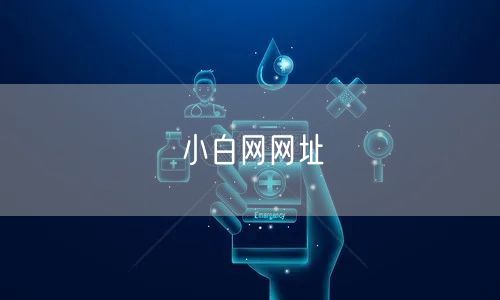 小白网网址