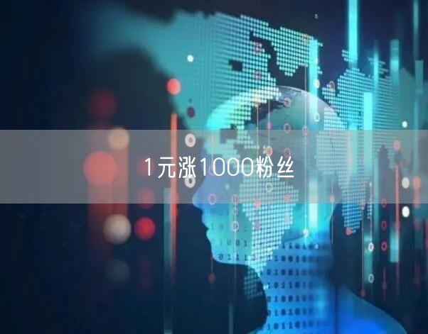 1元涨1000粉丝
