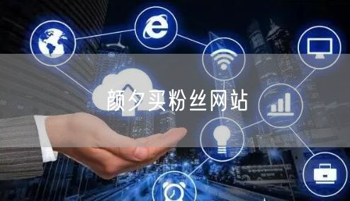 颜夕买粉丝网站