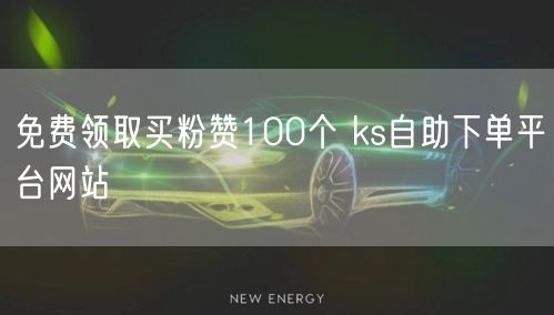 免费领取买粉赞100个 ks自助下单平台网站