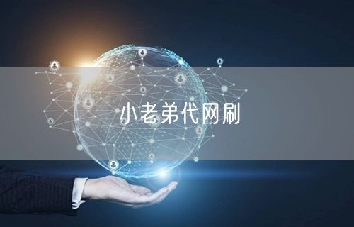小老弟代网刷