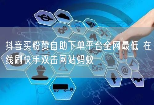 抖音买粉赞自助下单平台全网最低 在线刷快手双击网站蚂蚁