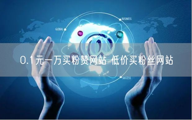 0.1元一万买粉赞网站 低价买粉丝网站