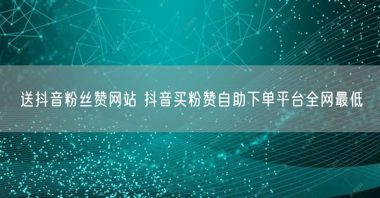 送抖音粉丝赞网站 抖音买粉赞自助下单平台全网最低