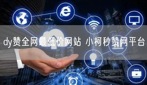 dy赞全网最低价网站 小柯秒赞网平台