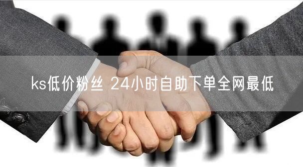 ks低价粉丝 24小时自助下单全网最低