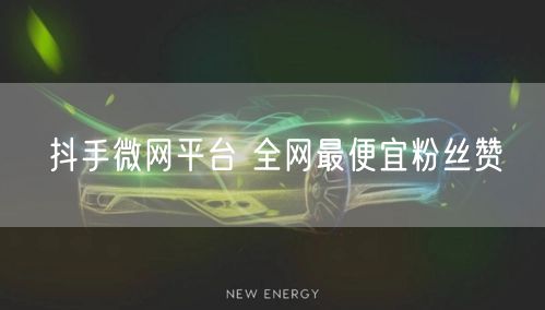抖手微网平台 全网最便宜粉丝赞