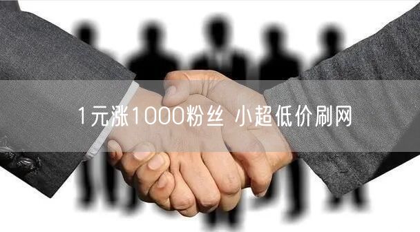 1元涨1000粉丝 小超低价刷网